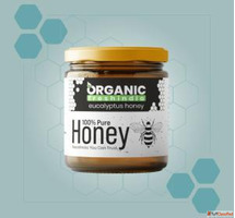 Eucalyptus Honey - Ayurvedic Remedy for Cough Cold 100 Raw N...