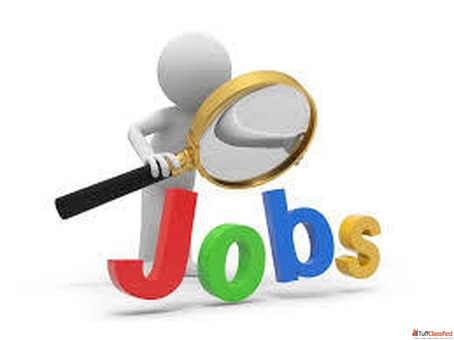Diploma Any Basic Graduation Graduates Fresher