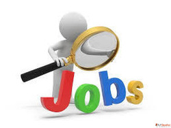 Diploma Any Basic Graduation Graduates Fresher