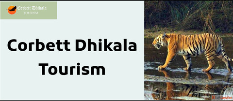 Dhikala Zone in Jim Corbett Corbett Dhikala Tourism