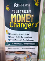 Trusted Foreign Exchange Experts in Noida - GD Seigell Co Pv...