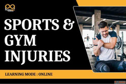 Sports Injury Online Course - Certified Injury Management Tr...