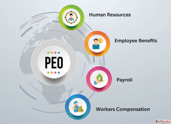 Looking for the Best International PEO Services Choose Brook...