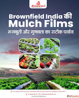 Mulch Films for Sustainable Agriculture