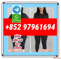 semagltuide910463-68-2 sema top quality with