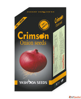 Buy CRIMSON Onion Seeds Online in India Yashoda Seeds