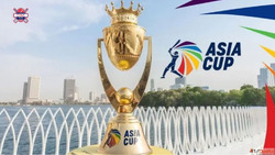Get Your Trusted Online Cricket ID Instantly - Safe Verified...