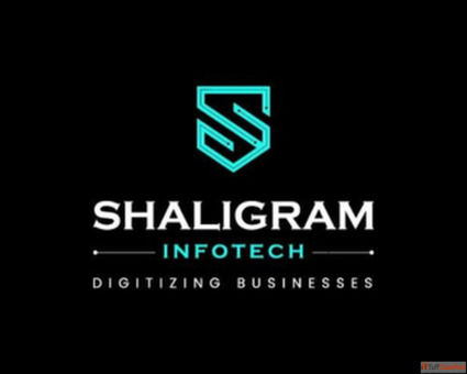 Shaligram Infotech