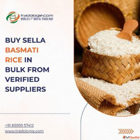 Buy Sella Basmati Rice in Bulk from Verified Suppliers
