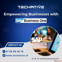 Empowering Business with SAP Business One