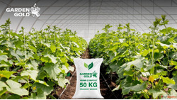 Boost Crop Yield with Greenhouse Farming Solutions in Gujara...