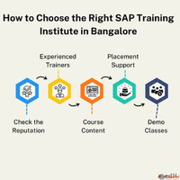 How to Pick the Best SAP Training in Bangalore - Ed11