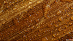Best Waterproof Plywood in India