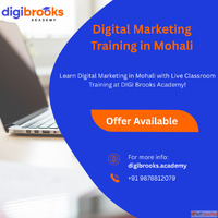 DIGI Brooks Academy - Best Digital Marketing Institute in Mo...