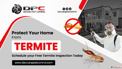 Best Termite Control Services in Hyderabad