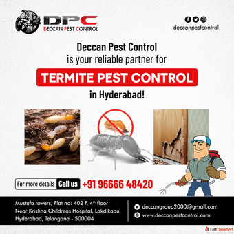 Termite Pest Control in Hyderabad