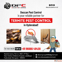 Termite Pest Control in Hyderabad