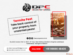 Termite Pest Control Pest Control Services
