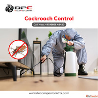 Cockroach Pest Control in Hyderabad