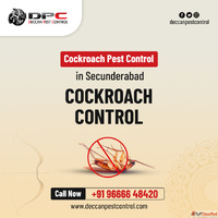 Cockroach Pest Control in Secunderabad