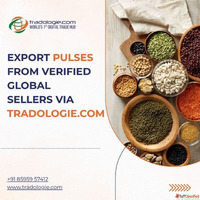 Export Pulses from Verified Global Sellers via Tradologie.co...