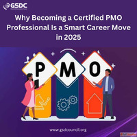 Why Becoming a Certified PMO Professional Is a Smart Career ...