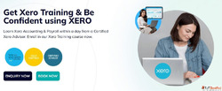 Expert-Led Xero Training for Beginners Businesses