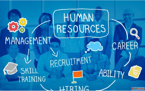 Human Resource Management Courses After 12th