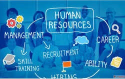 Human Resource Management Courses After 12th