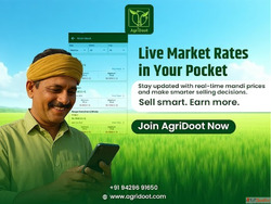 Maximize Your ProfitUse This App to Track All India Mandi Ra...