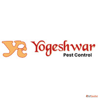 Yogeshwar Pest Control Termite Treatment Service Ahmedabad
