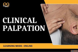 Best Clinical Palpation Certification Online - Accredited Tr...