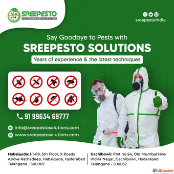 Best Pest Control Services in Hyderabad