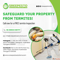 Termite Control Services in Hyderabad