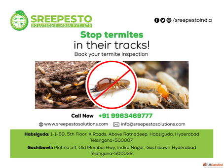 Termite Pest Control in Hyderabad