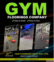 All Type of Gym Equipment