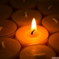 Sandalwood Scented Candle Tealight Candle Online