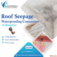 Roof Seepage Waterproofing Contractors in Whitefield Bangalo...