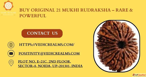 Buy Original 21 Mukhi Rudraksha - Rare Powerful