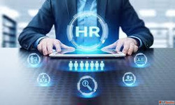 Urgent Requirement Admin Cum Payroll Coordinator On- site