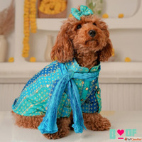 Rakhi Special Dog Clothes - Festive Outfits for Your Pet