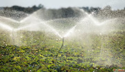 Trickle Irrigation System for Farmers in Madhya Pradesh