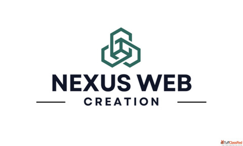 Nexus Web Creation Web Development in Delhi