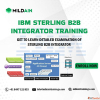 IBM Sterling Integration Training