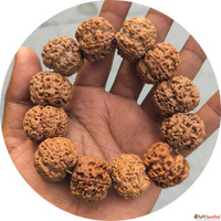 Discover the Power WithinOriginal Nepali Rudraksha for Sale ...