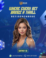 Betinexch Entertainment Hub Non-Stop Action Engaging Experie...