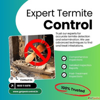 Trusted Termite Treatment Services in Delhi