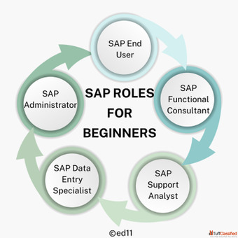 SAP Roles for Beginners - Ed11