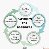SAP Roles for Beginners - Ed11