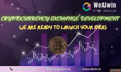 WeAlwin- Launch your Crypto Ideas into Possible Platform